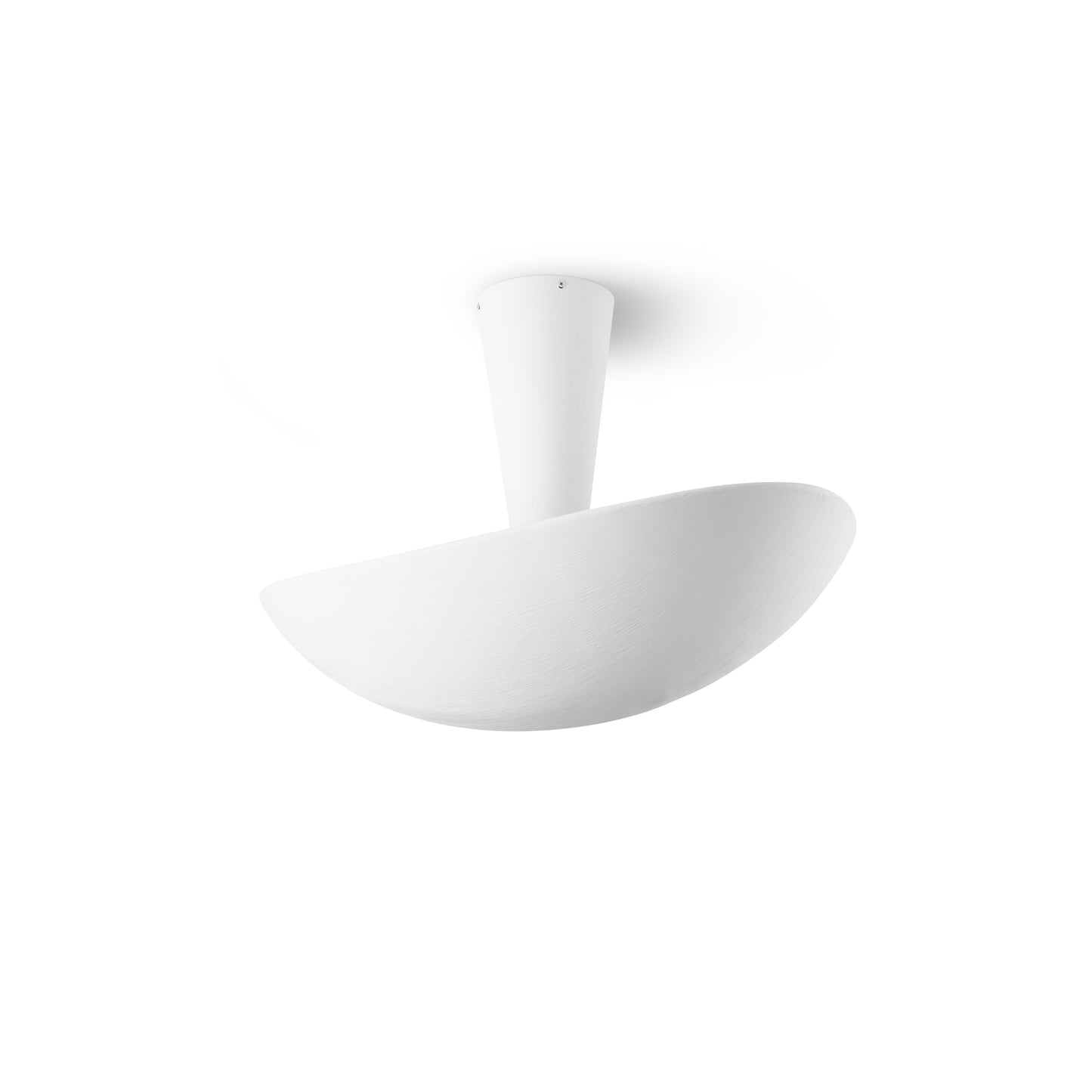 Myco Pendant