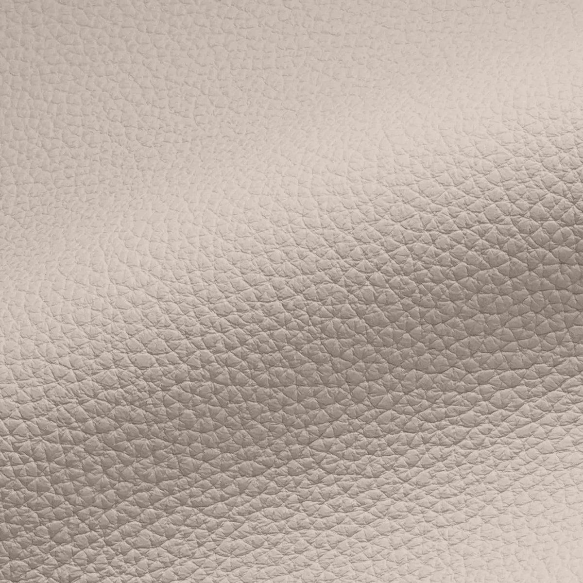 Vegan Leather