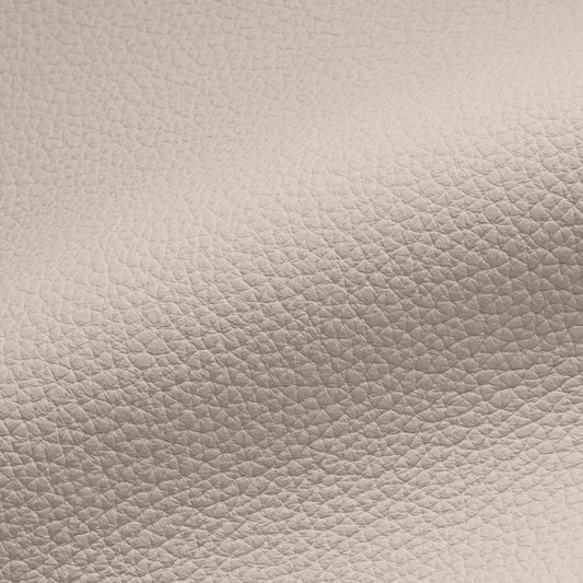 Vegan Leather