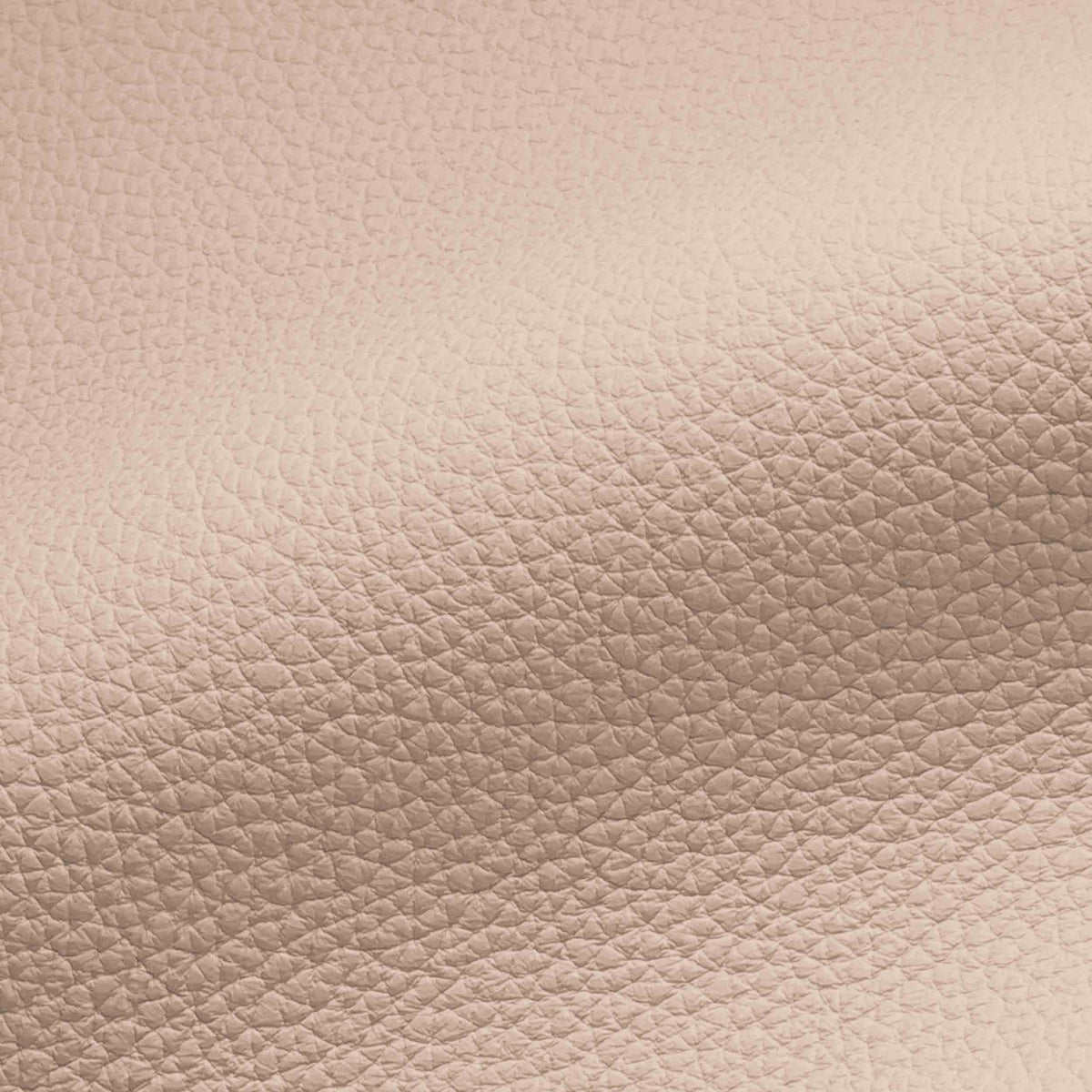 Vegan Leather