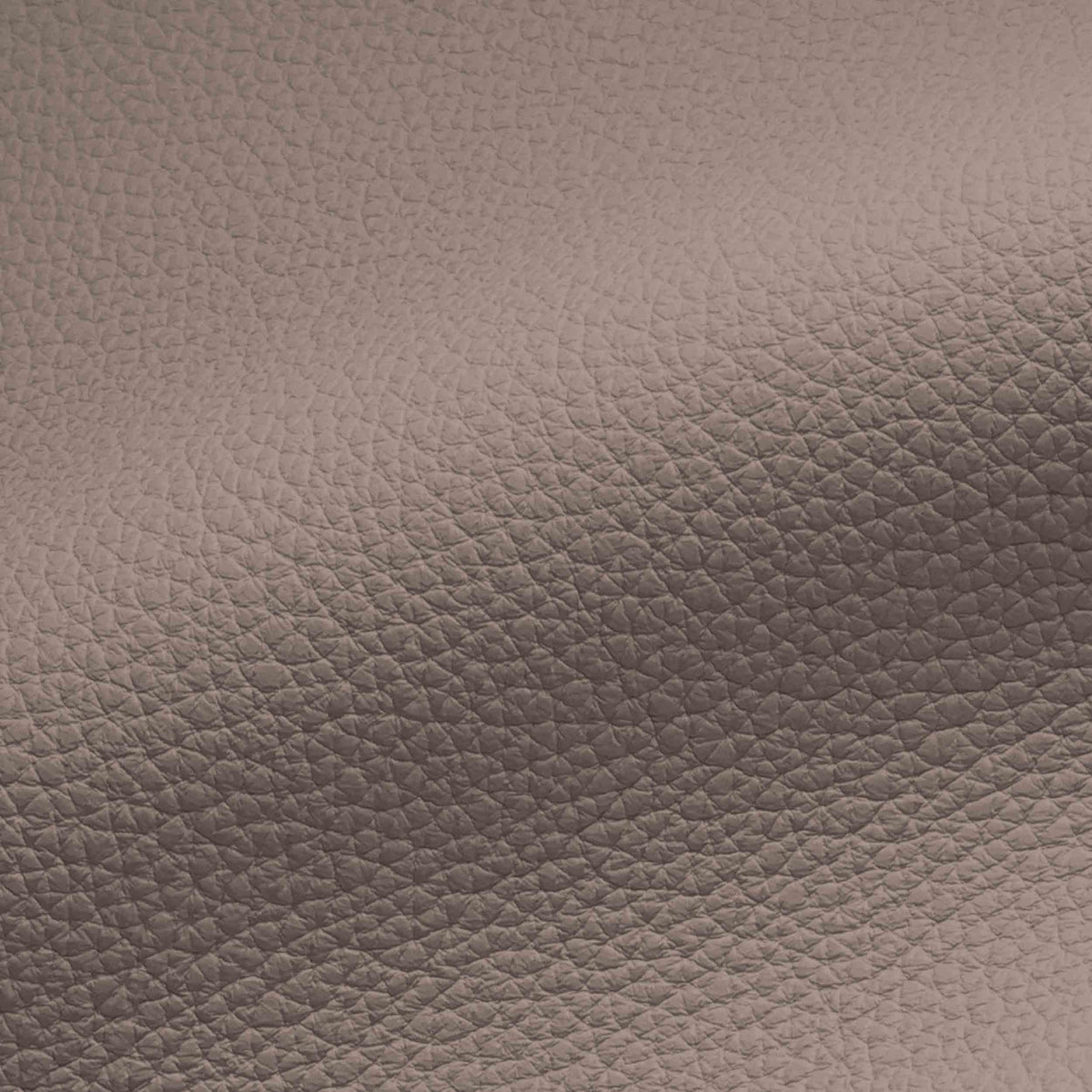 Vegan Leather