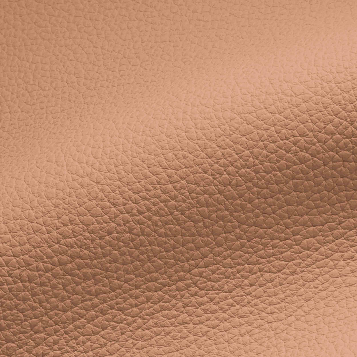 Vegan Leather