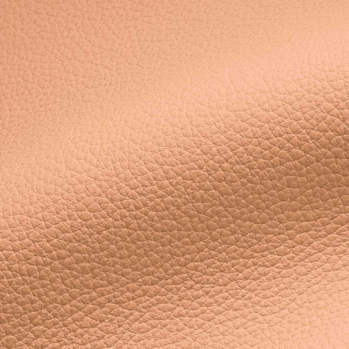 Vegan Leather