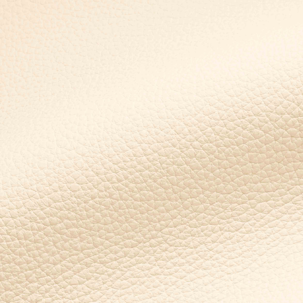 Vegan Leather