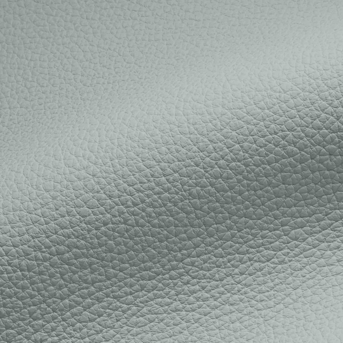 Vegan Leather