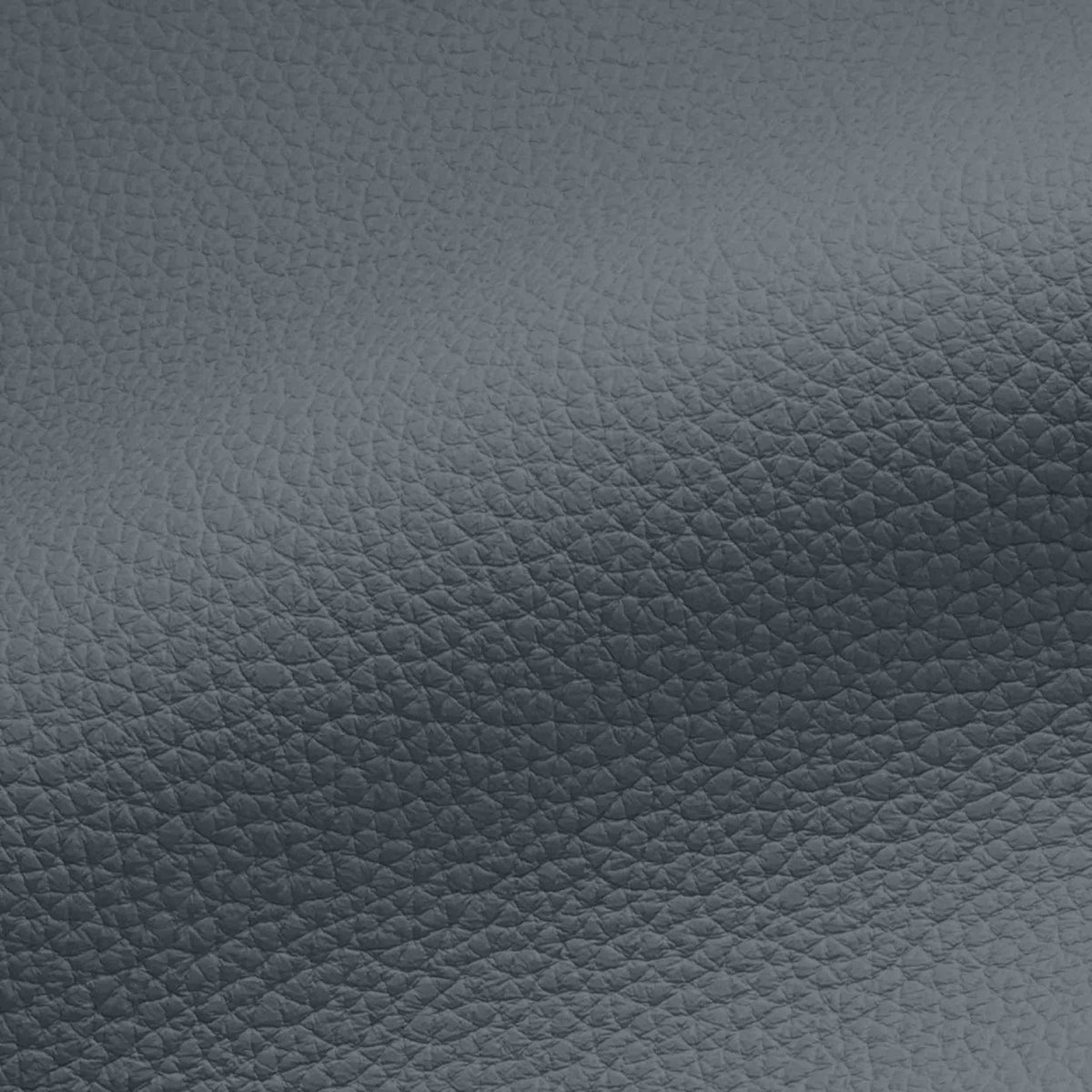 Vegan Leather
