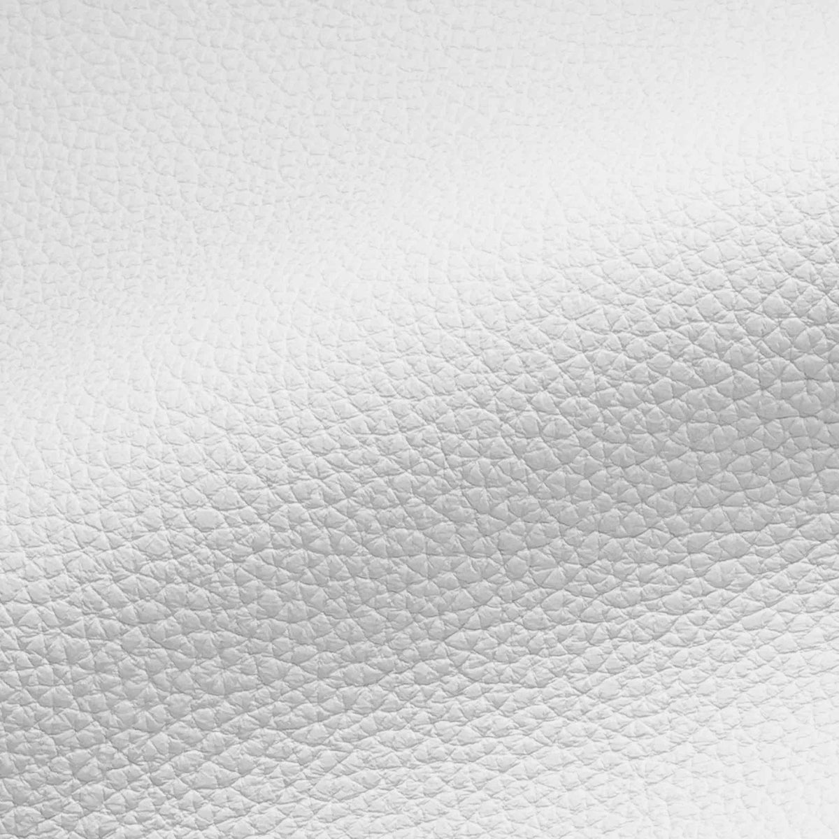 Vegan Leather