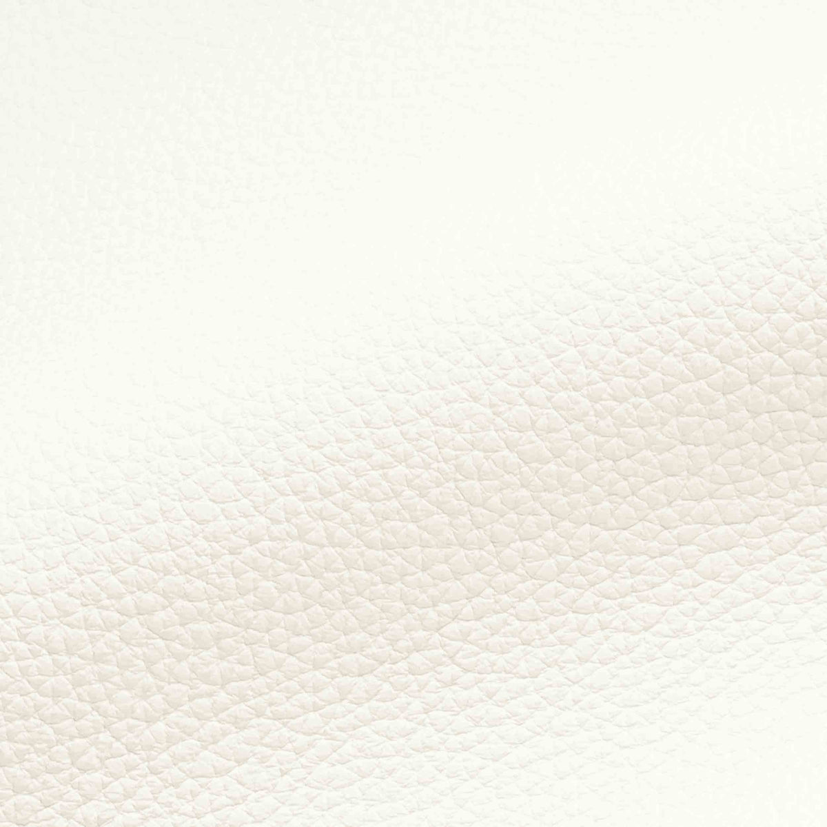 Vegan Leather