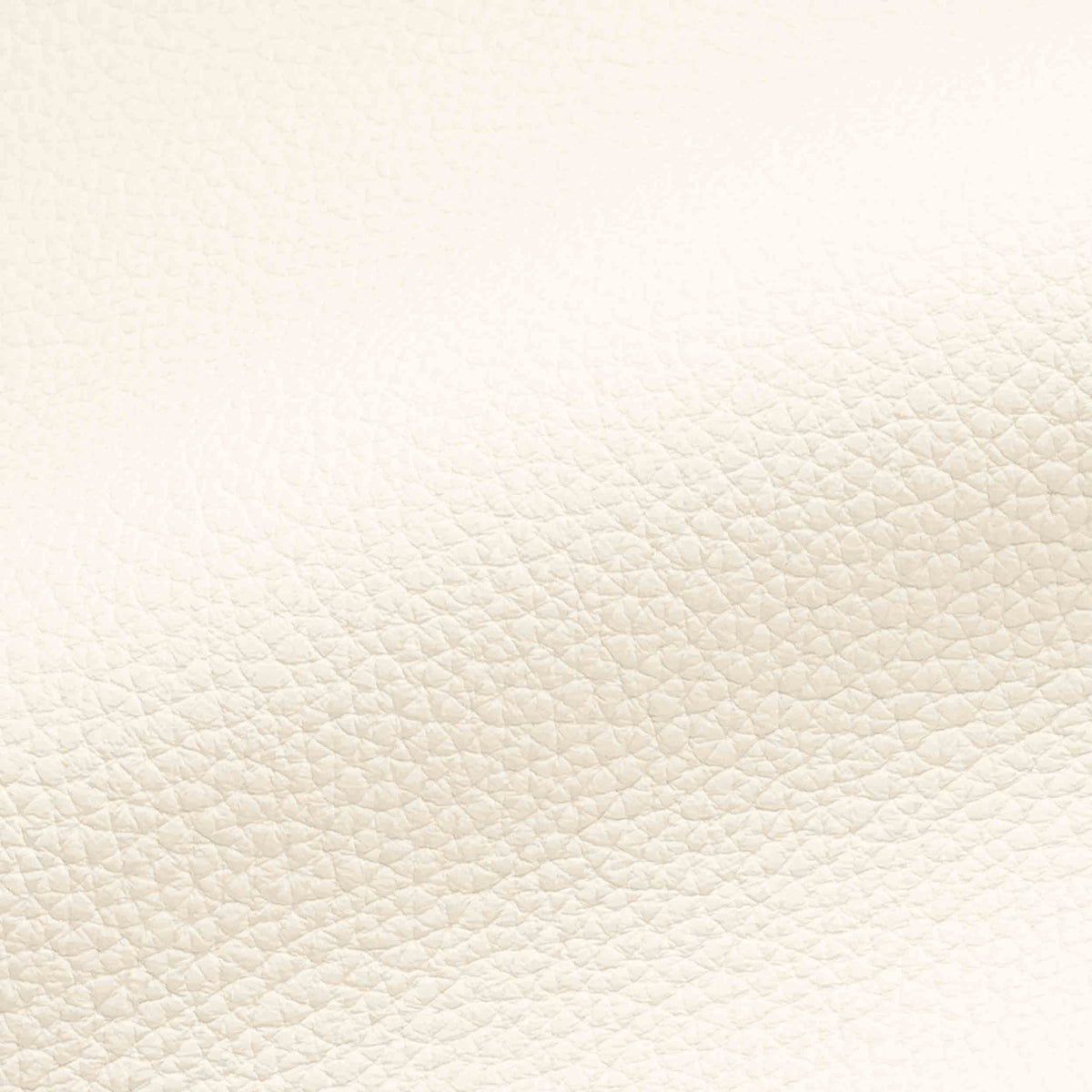 Vegan Leather