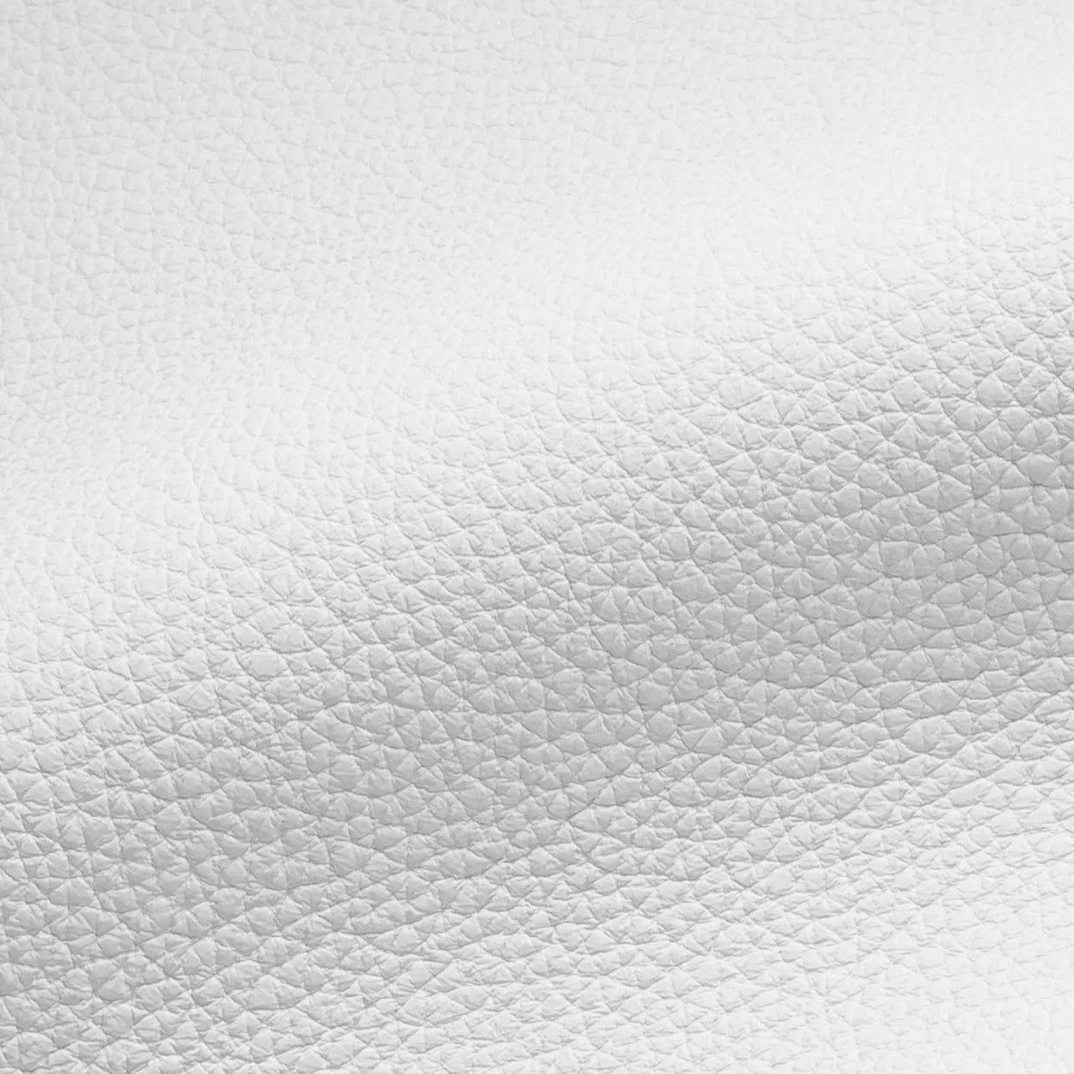 Vegan Leather