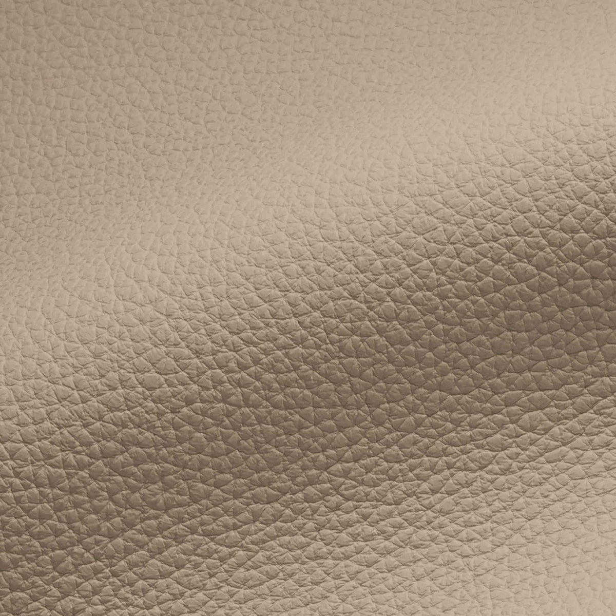 Vegan Leather