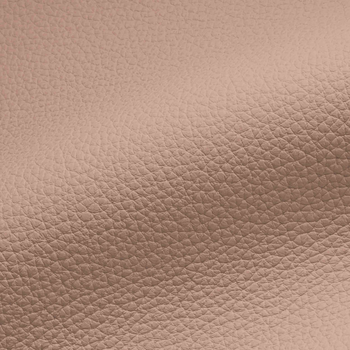 Vegan Leather