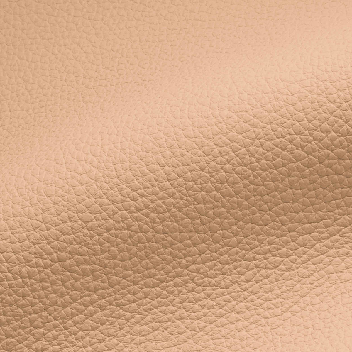 Vegan Leather
