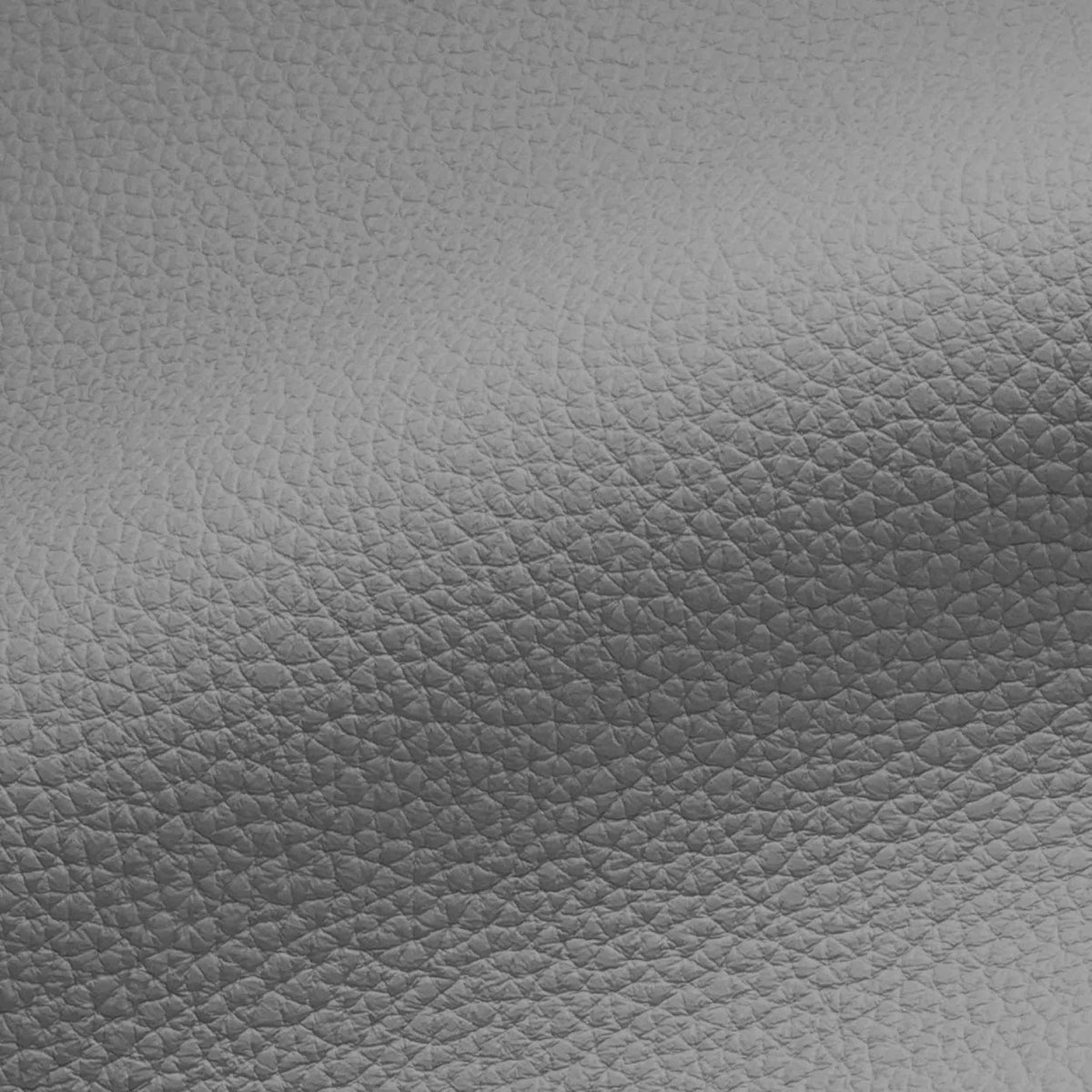 Vegan Leather