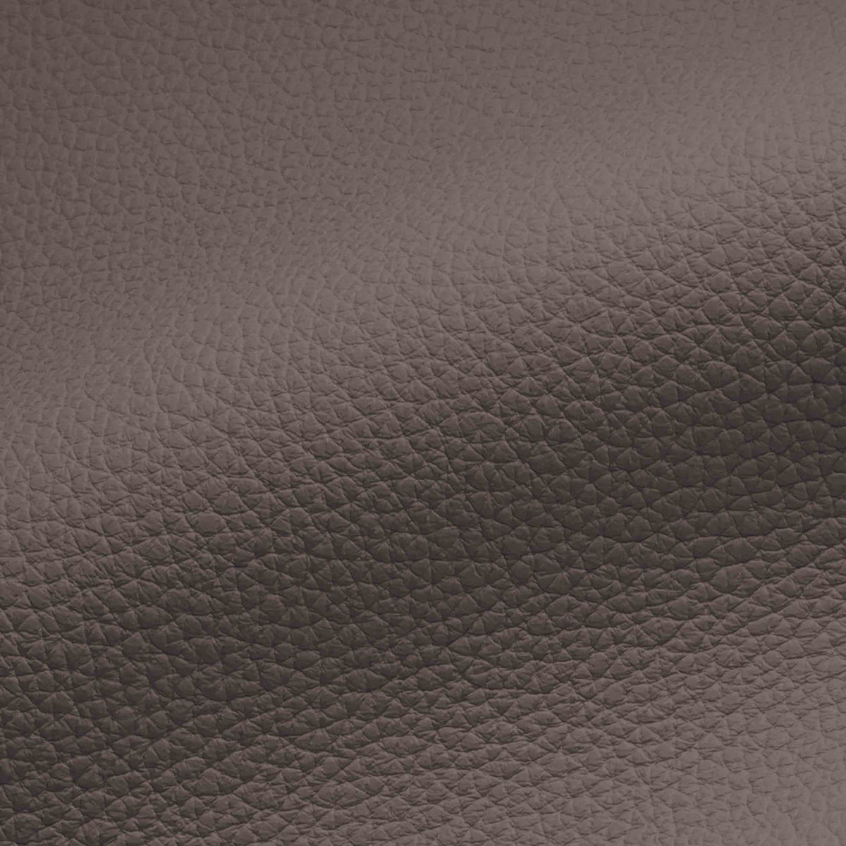 Vegan Leather