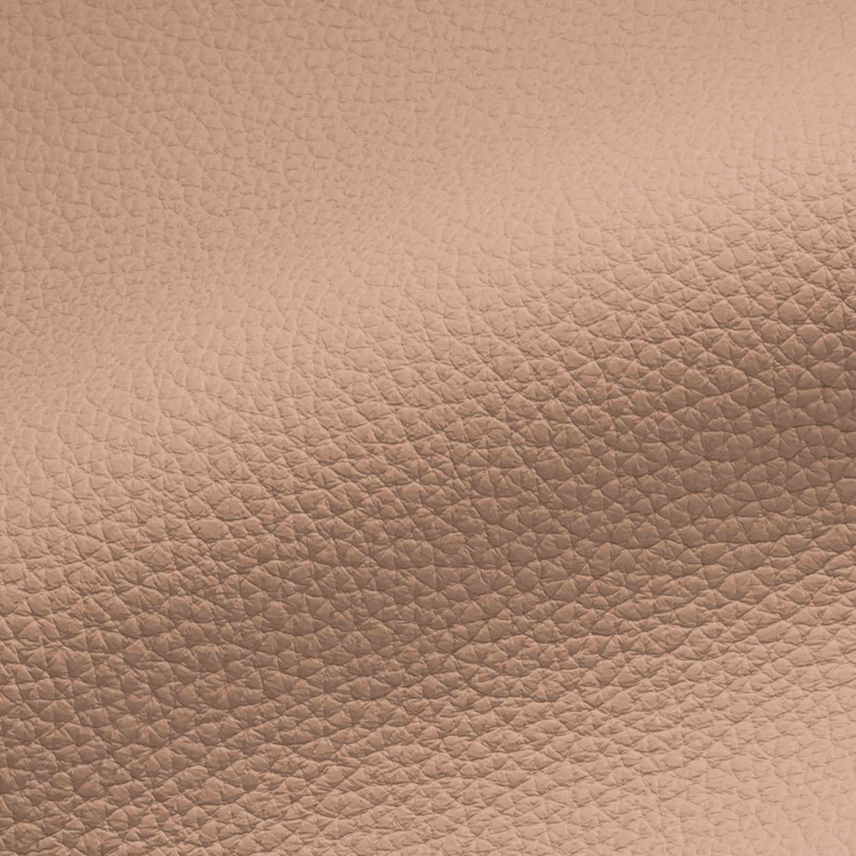 Vegan Leather