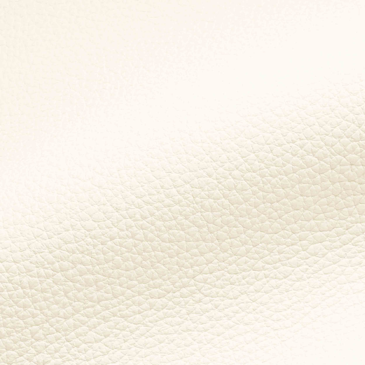 Vegan Leather