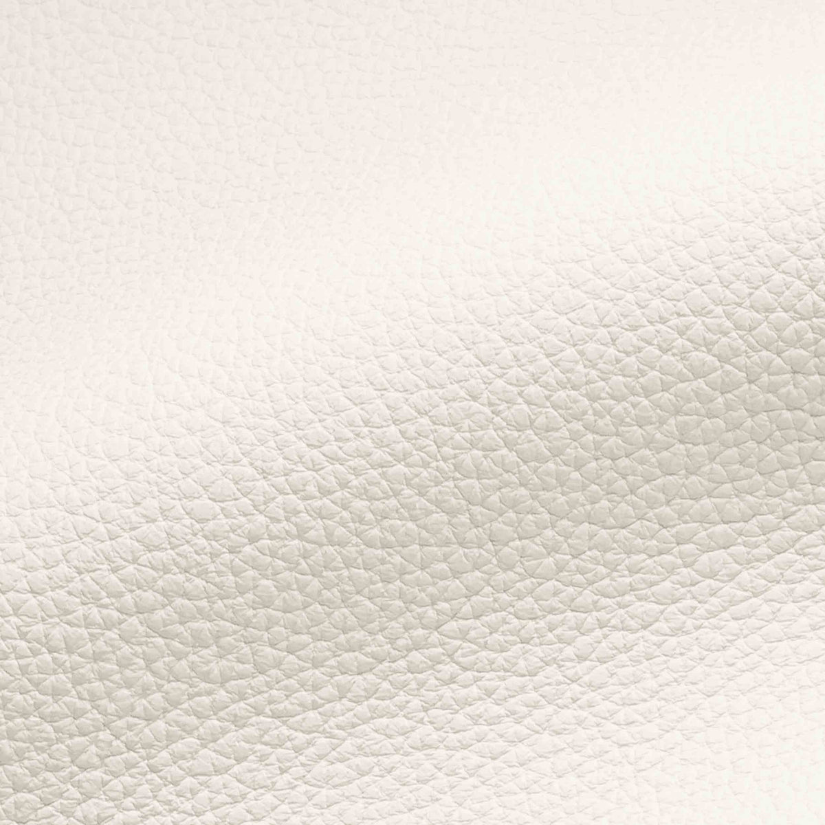 Vegan Leather
