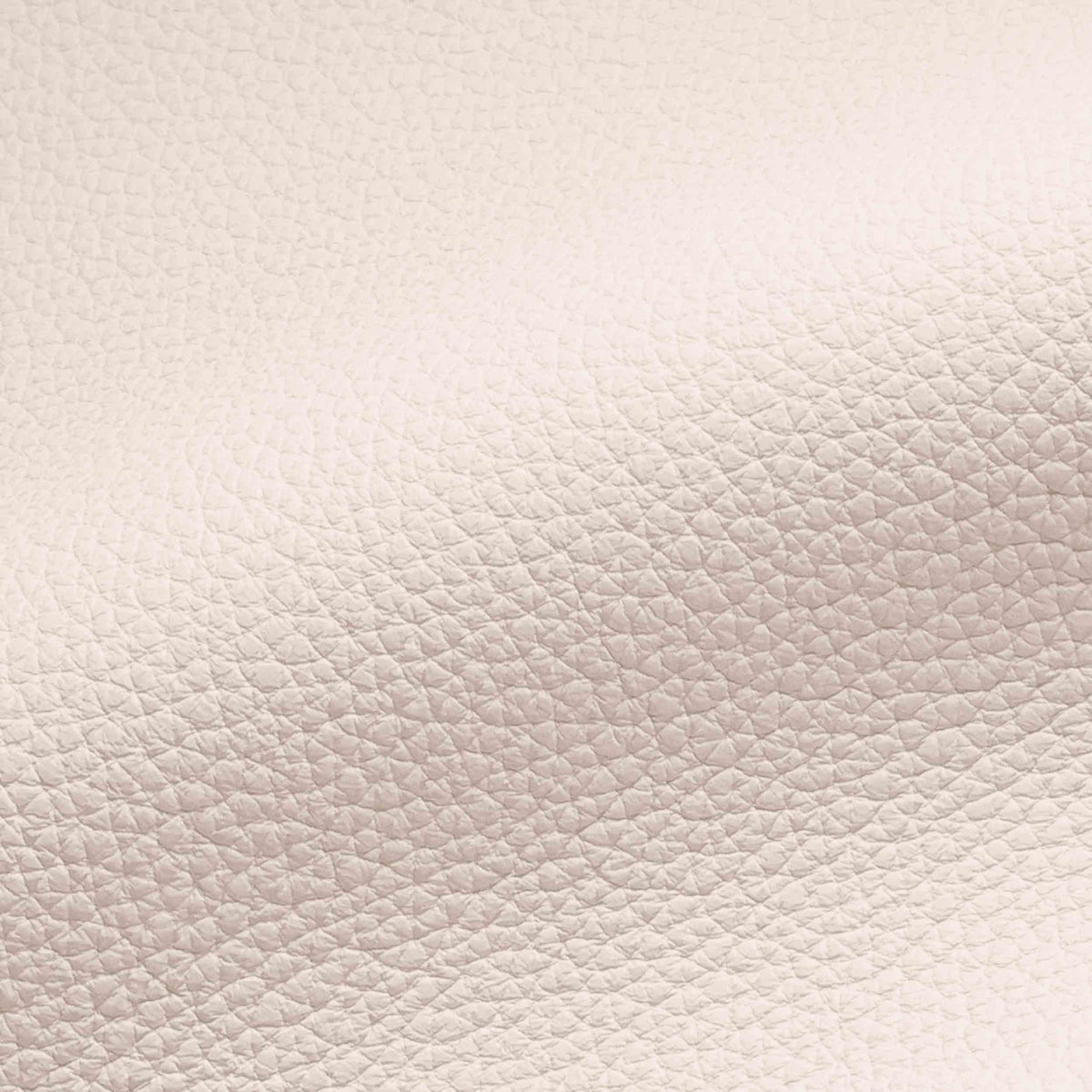 Vegan Leather