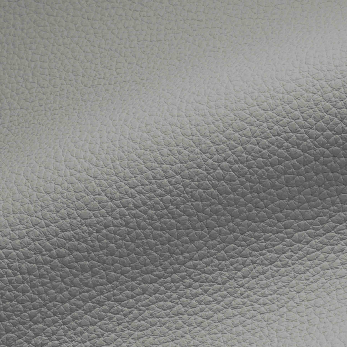 Vegan Leather