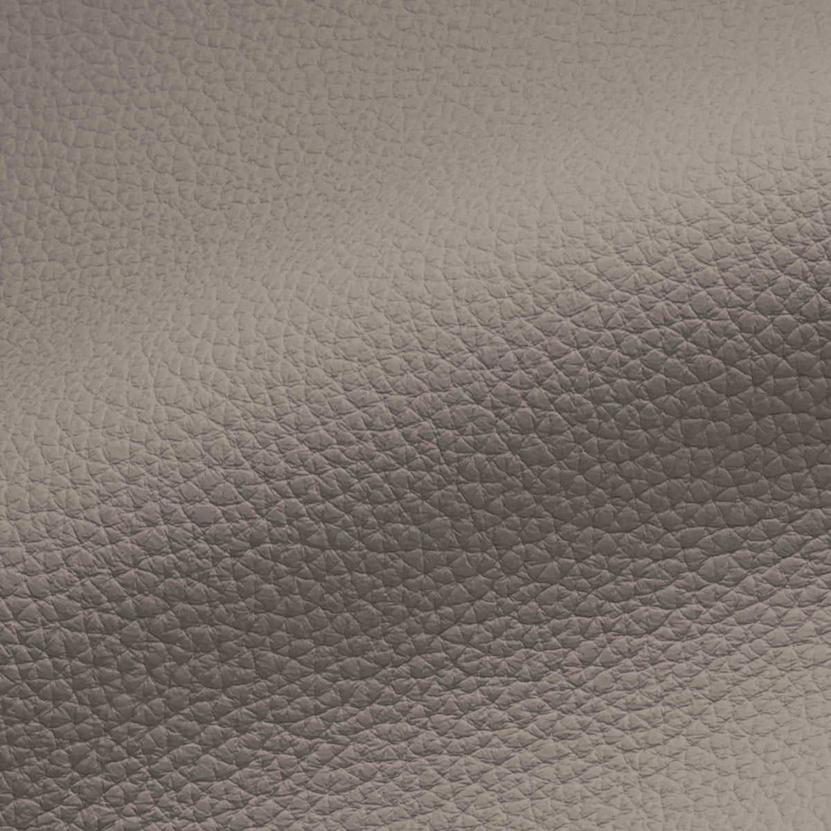 Vegan Leather