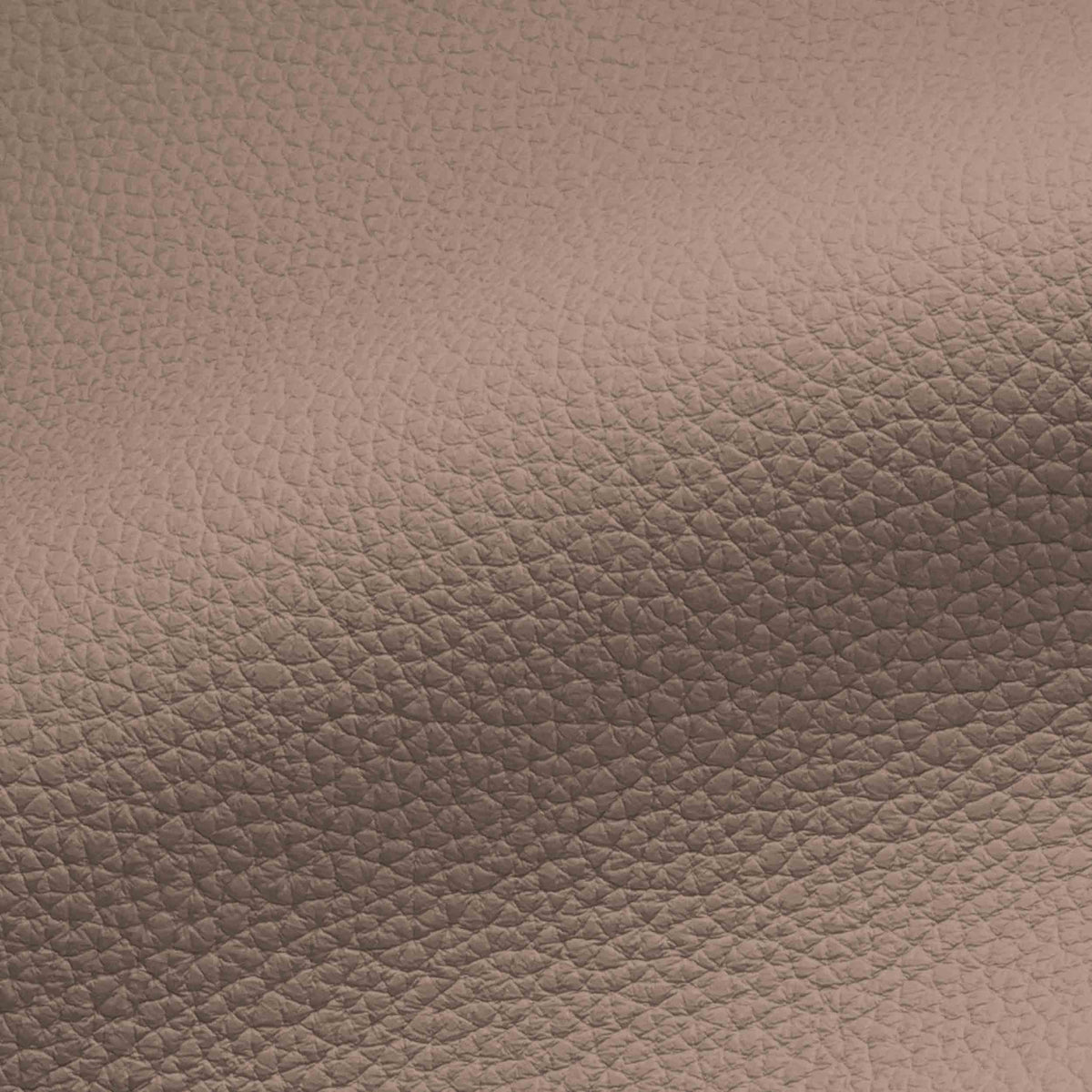Vegan Leather