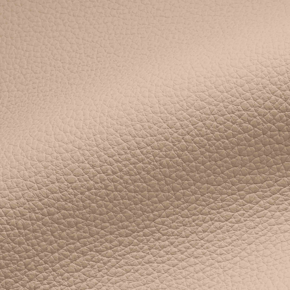 Vegan Leather