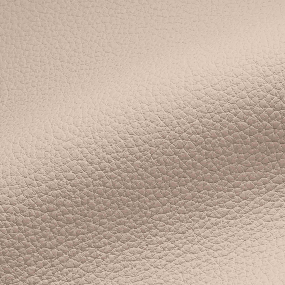 Vegan Leather