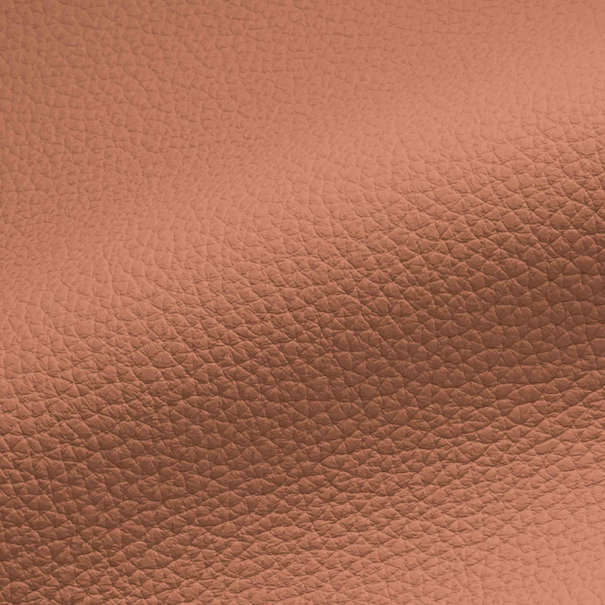 Vegan Leather