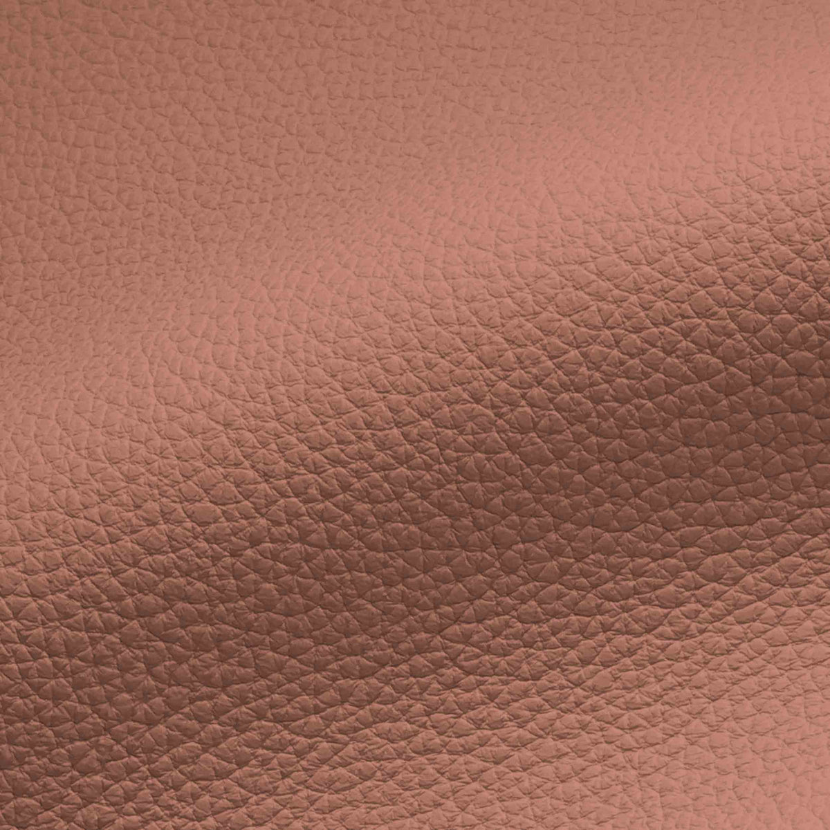 Vegan Leather