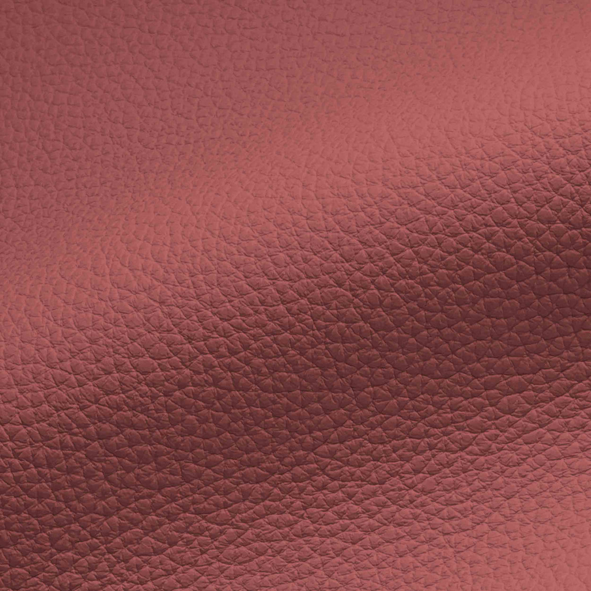 Vegan Leather
