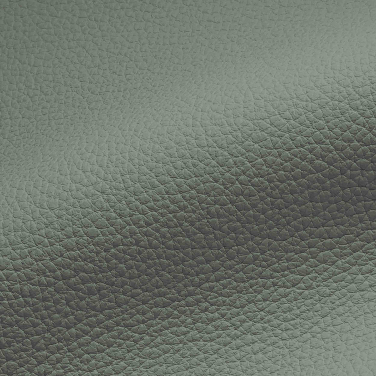 Vegan Leather