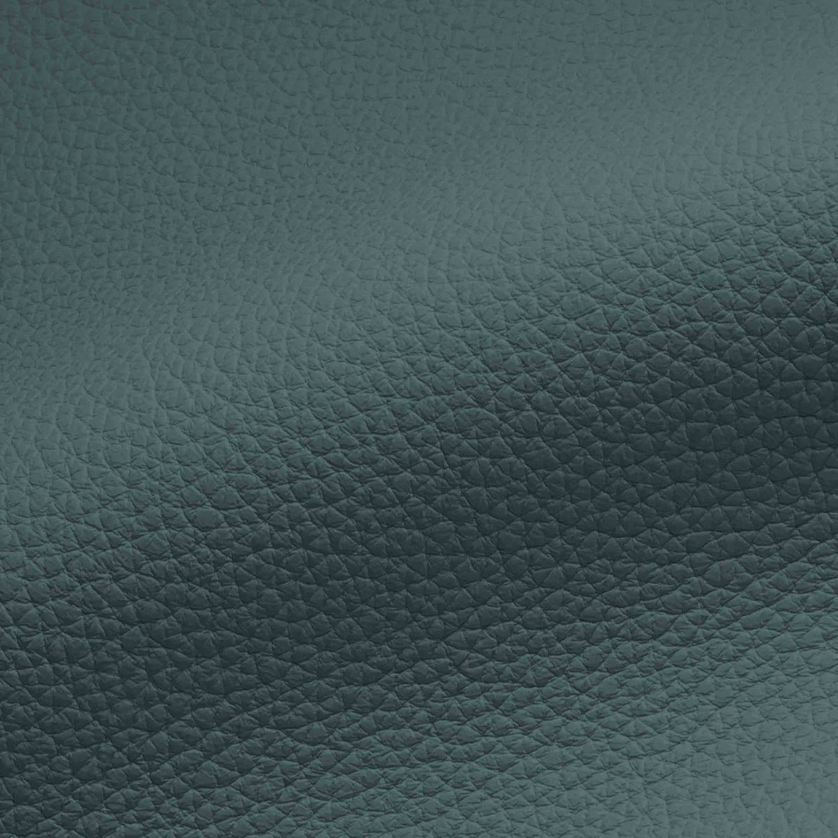Vegan Leather