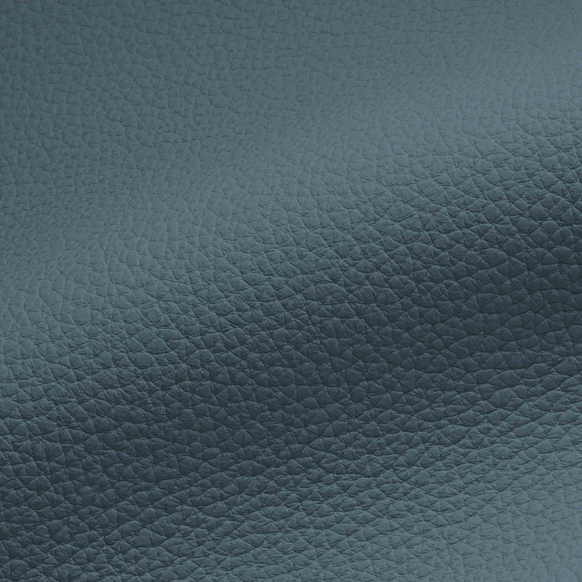 Vegan Leather