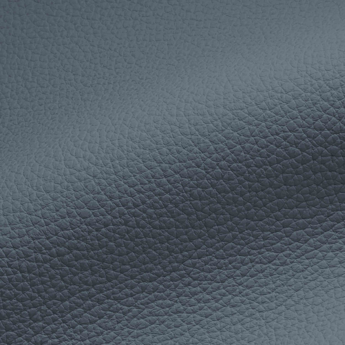 Vegan Leather