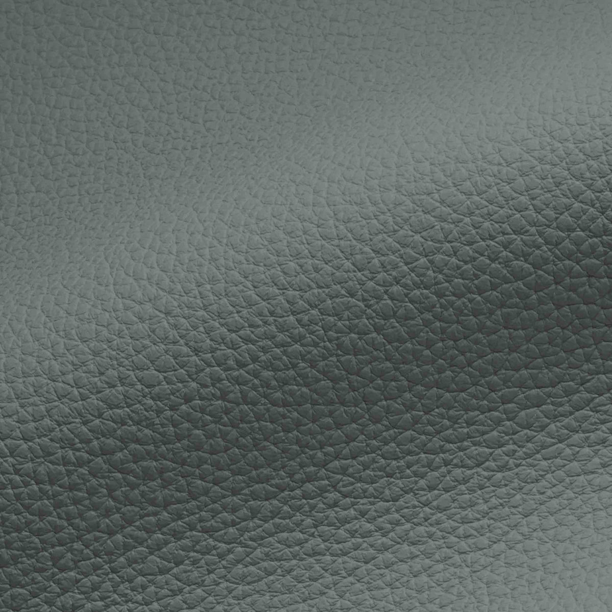 Vegan Leather