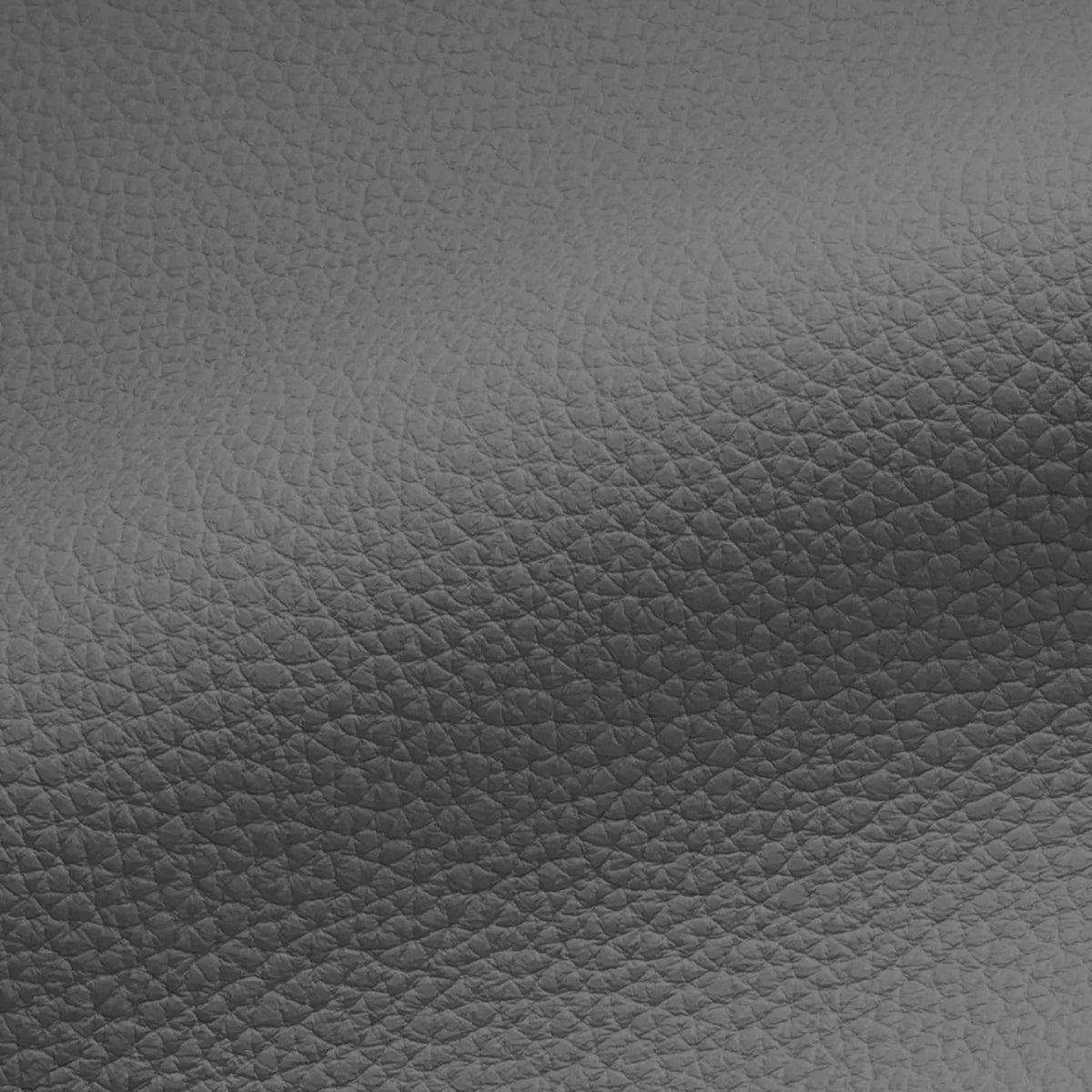 Vegan Leather