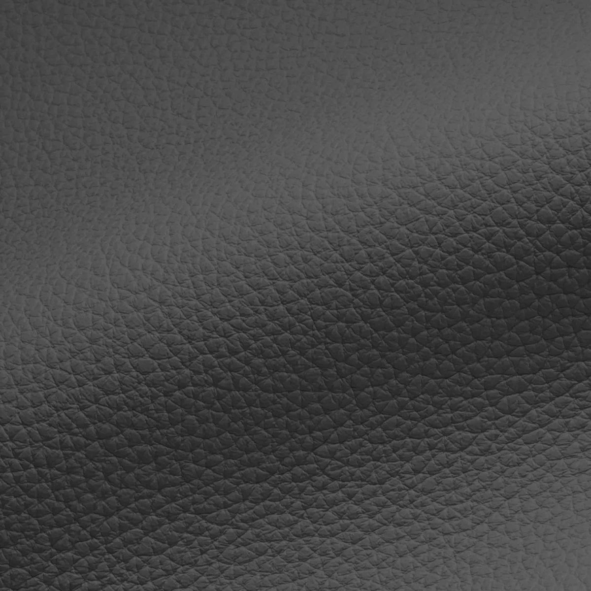 Vegan Leather