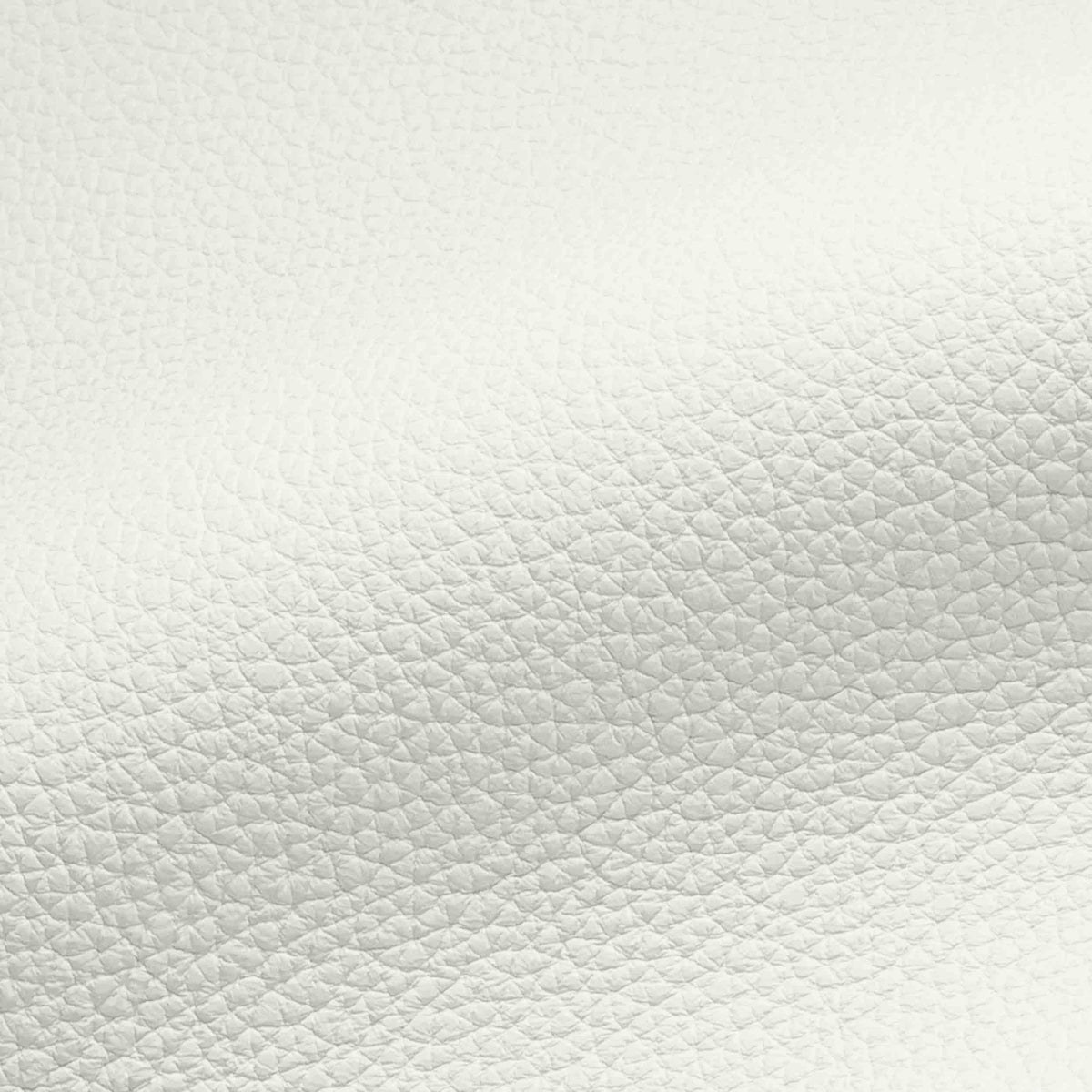Vegan Leather