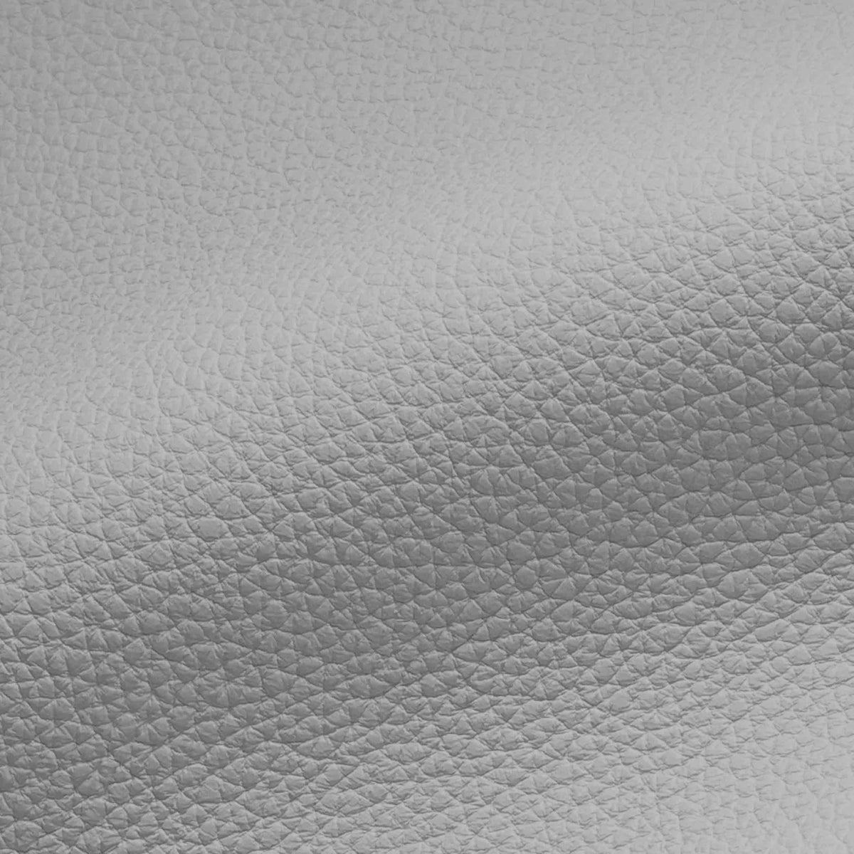 Vegan Leather