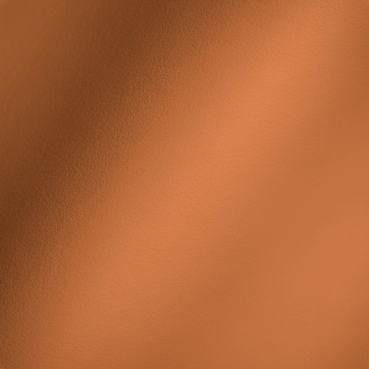 Vegan Leather