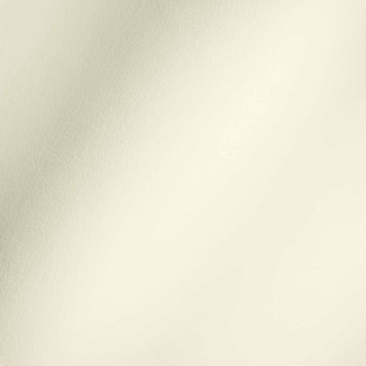 Vegan Leather