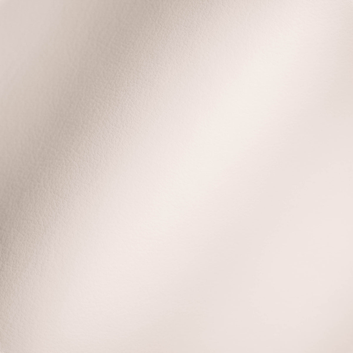 Vegan Leather