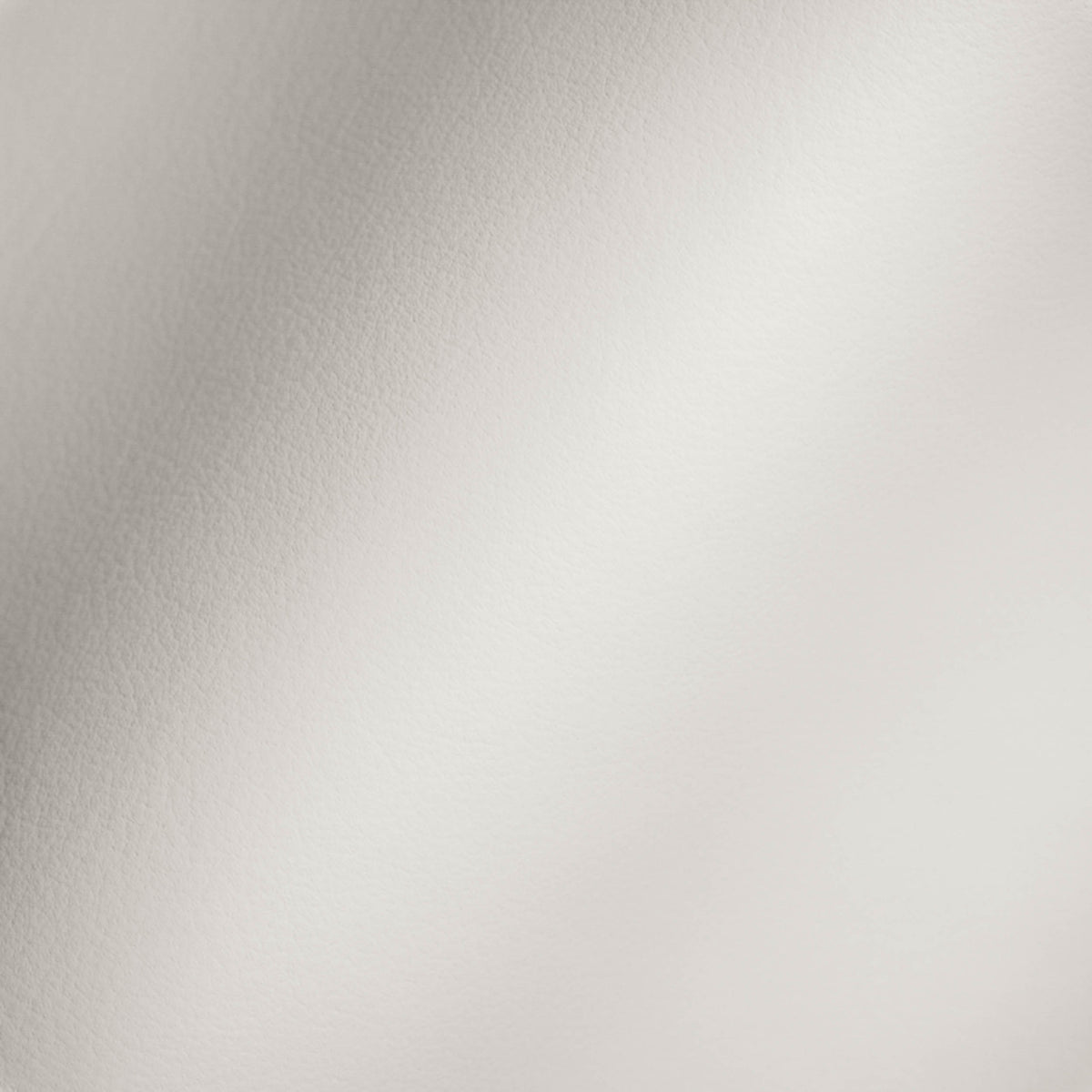 Vegan Leather