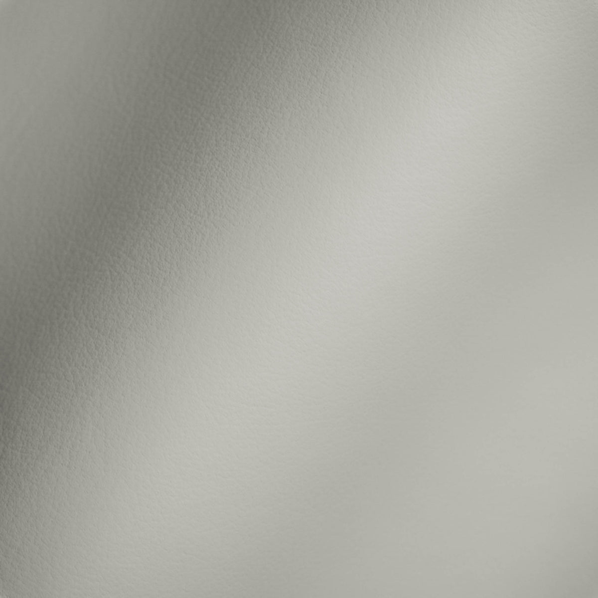 Vegan Leather