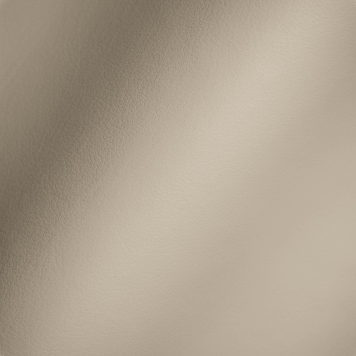 Vegan Leather