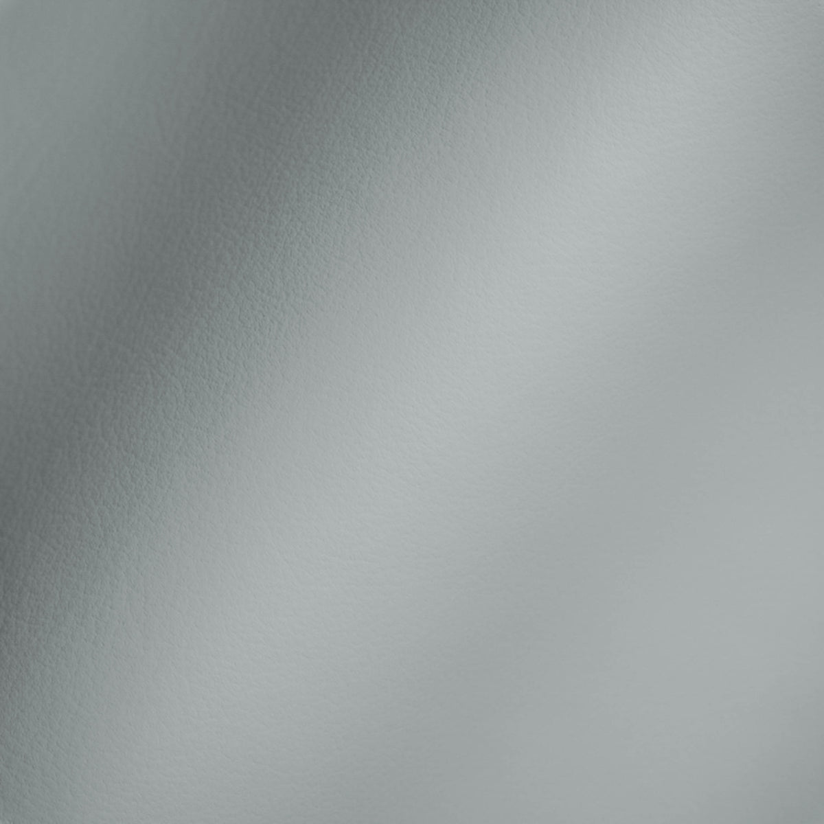 Vegan Leather