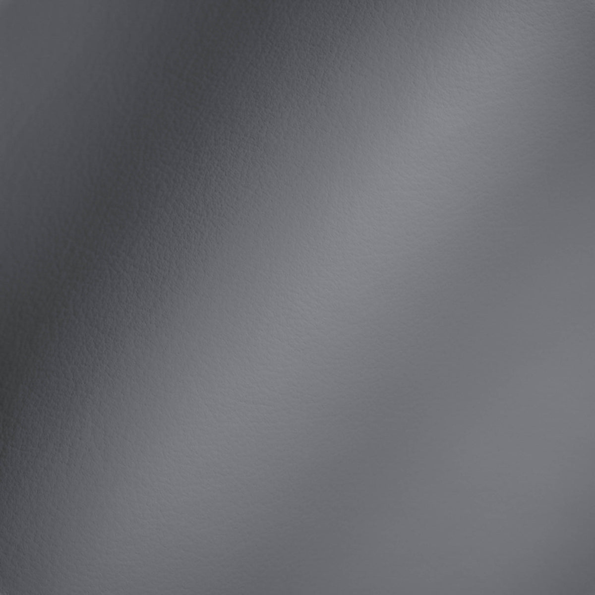 Vegan Leather