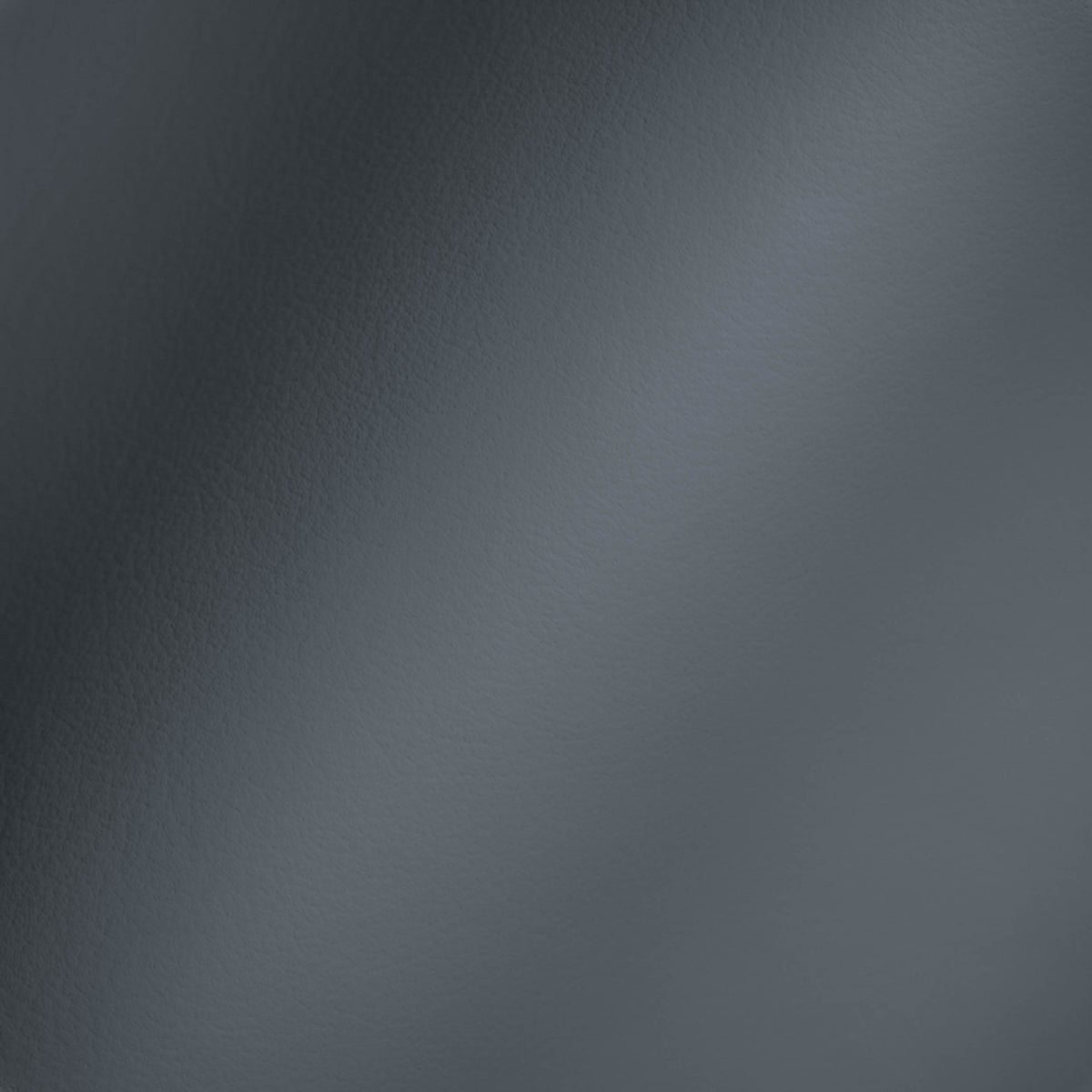 Vegan Leather