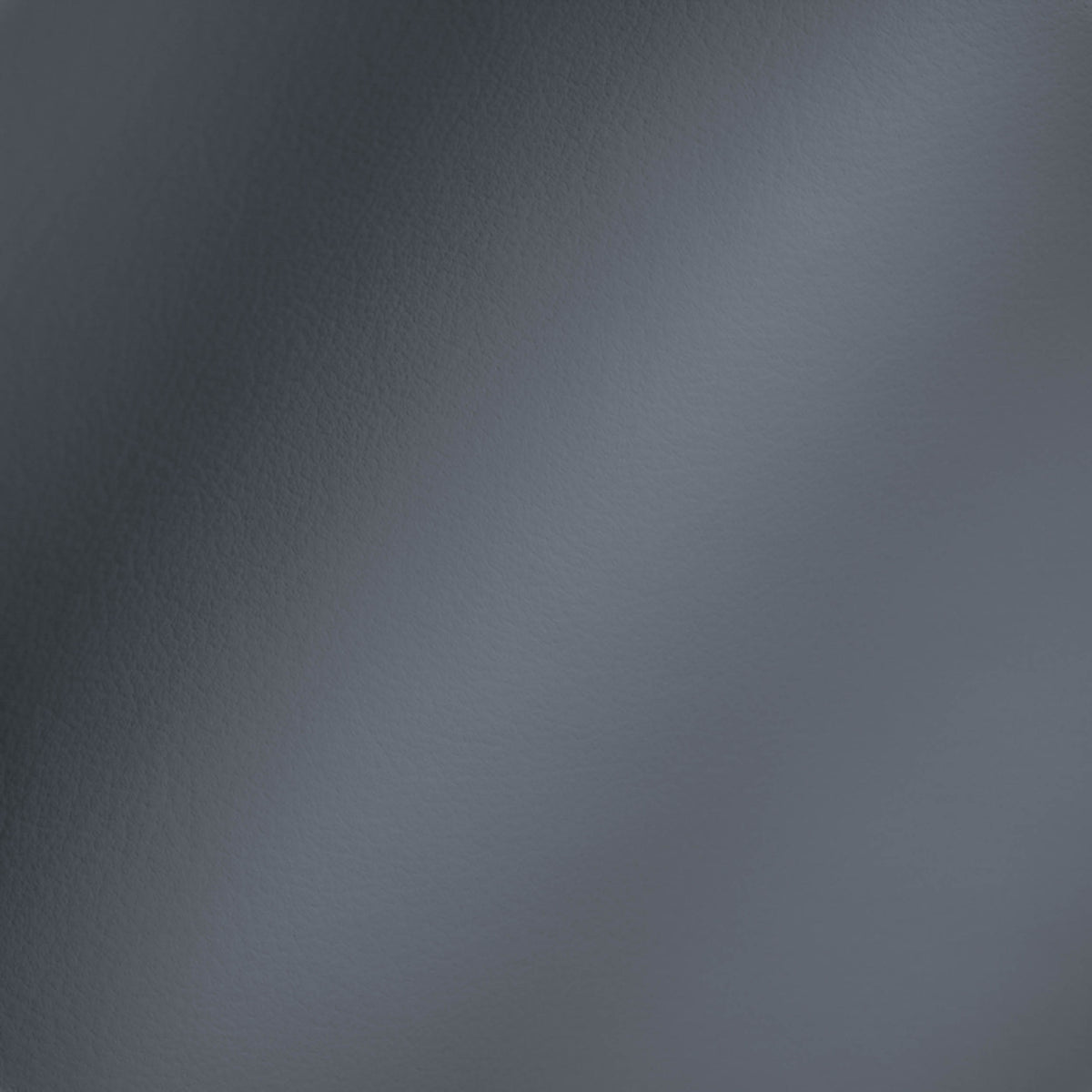 Vegan Leather